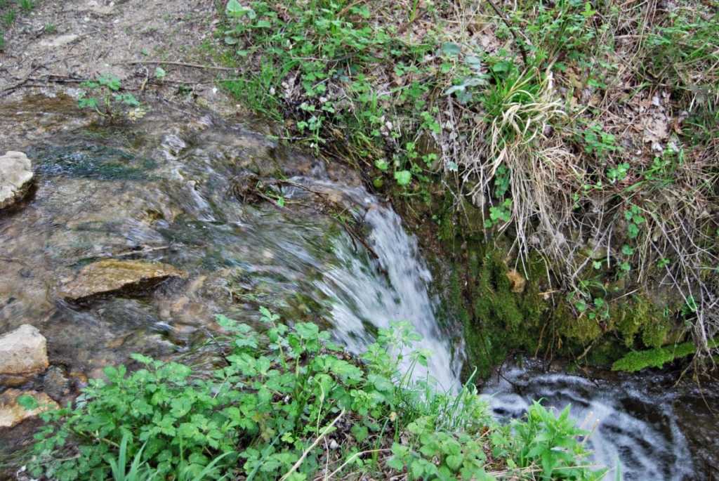 Perché la nostra esistenza dipende dall'acqua e il Molise quanta ne ha?