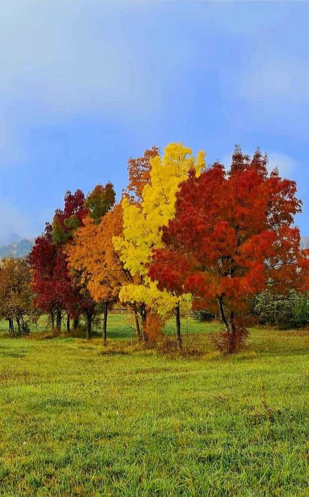 Una gioia essere in autunno qui nel Molise: colori e sapori unici